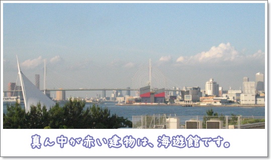 逢ってきました ♪_c0049950_1315543.jpg