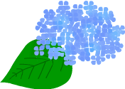 c0043751_1351125.gif