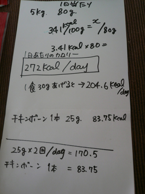 【ルナのダイエットの記録】　給餌量について考える_f0217153_1094985.jpg