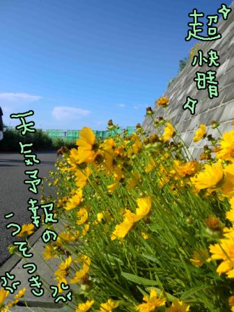 a0167556_024096.jpg