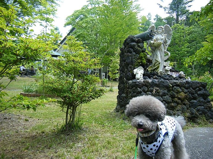 初夏の旅 in 軽井沢 （『Tea Salon 芽衣』編）_e0129656_21192091.jpg