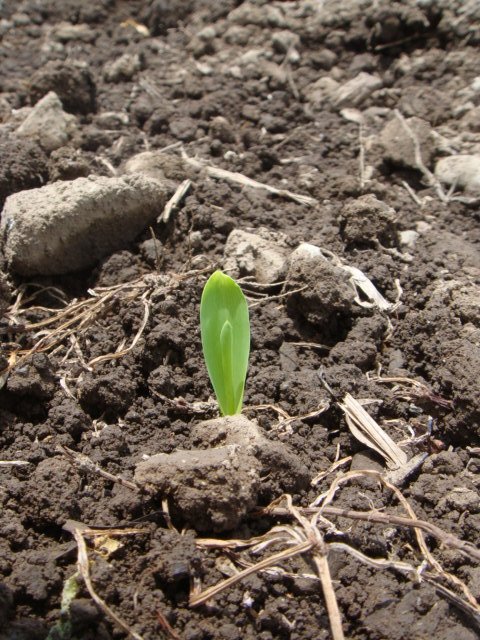 c0074157_218221.jpg