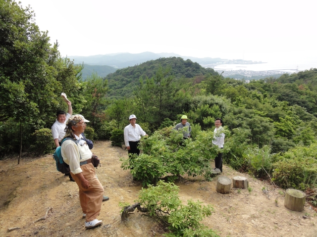 田代岬町町長：アジサイロード視察_c0108460_20232667.jpg