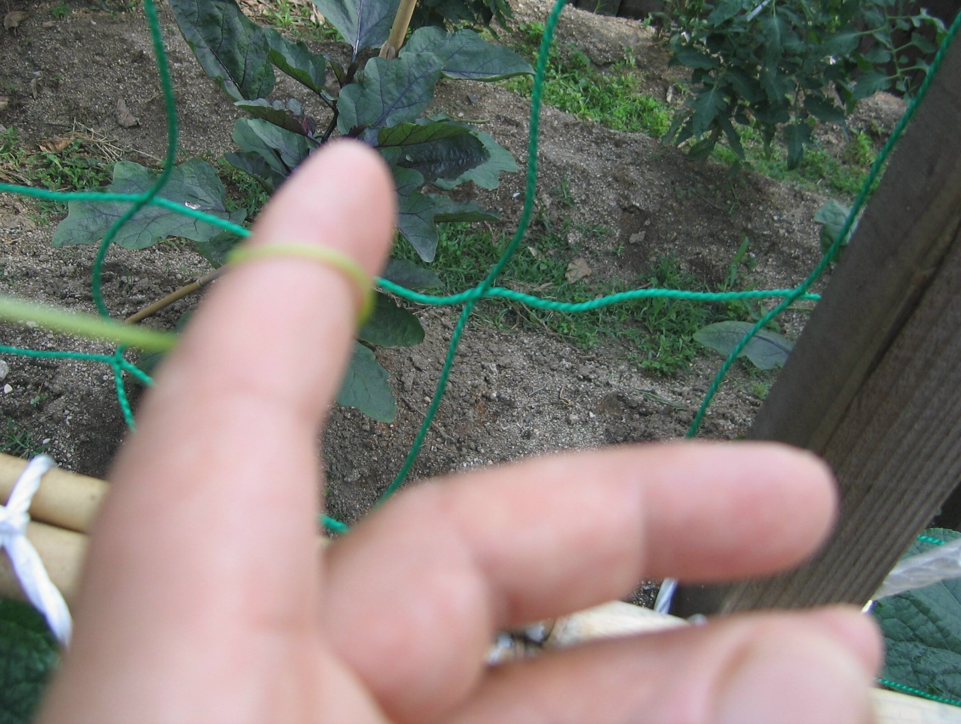 c0217169_1752771.jpg