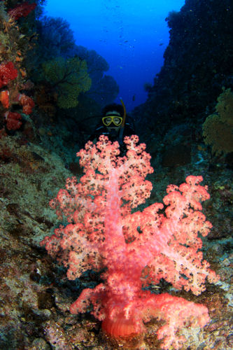 d0114375_2232640.jpg