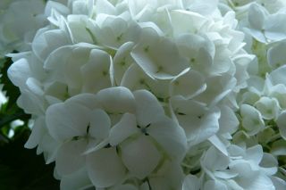 2010年6月17日 半径2K_b0098584_950505.jpg