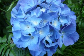 2010年6月17日 半径2K_b0098584_95177.jpg
