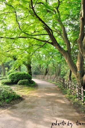 富山散歩～県西部65～新緑の「水の古城」-2-_b0155692_1615136.jpg