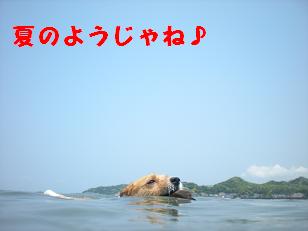 c0188294_11473911.jpg