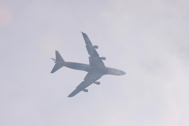 b0138798_16583693.jpg