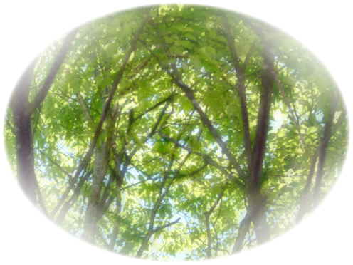 c0074000_21221352.jpg