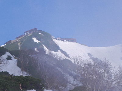 a0158702_16395045.jpg