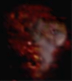 e0103408_13345473.gif