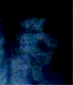 e0103408_13391816.gif
