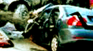 e0103408_13393158.gif