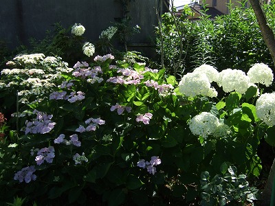 b0107310_13373340.jpg