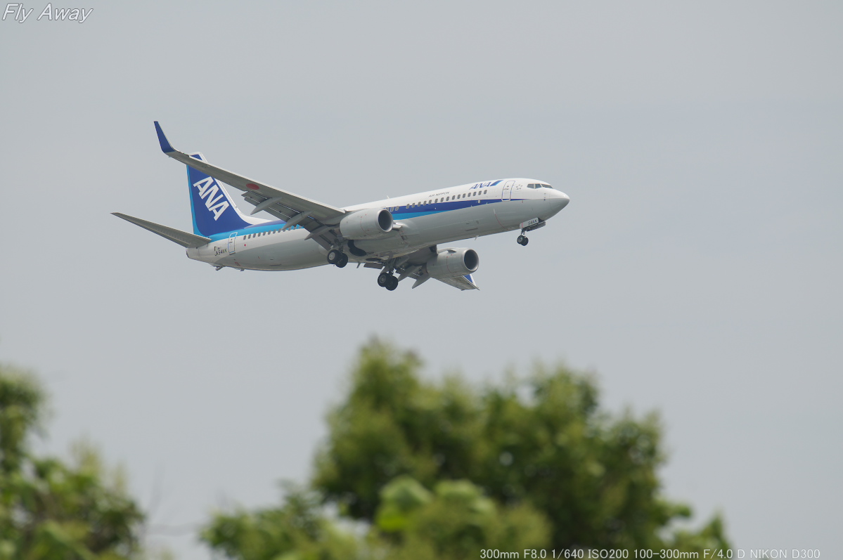 RW16L landing from the Keihinjima wing Park_c0158519_23154056.jpg