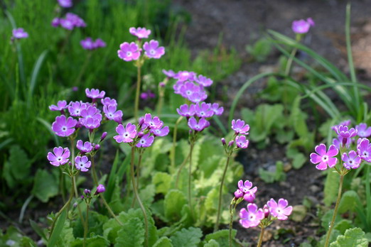 d0143719_8533491.jpg