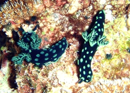 温い海_a0043520_0292043.jpg
