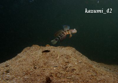 b0164920_025390.jpg