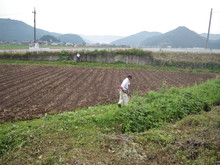 南中山小3年生の子供たちが大豆の種まきをしました_e0061225_1334276.jpg