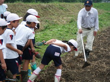 南中山小3年生の子供たちが大豆の種まきをしました_e0061225_1410579.jpg