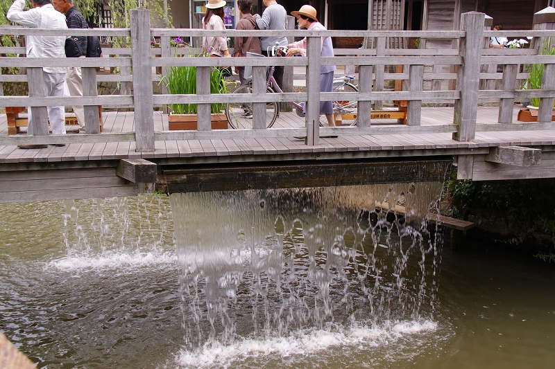 f0229832_964647.jpg