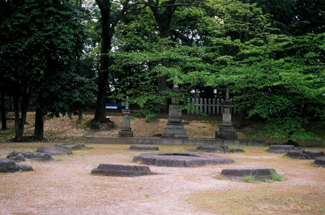 野中寺_e0149335_20235935.jpg