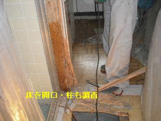 床下点検口設置・他_f0031037_21232714.jpg