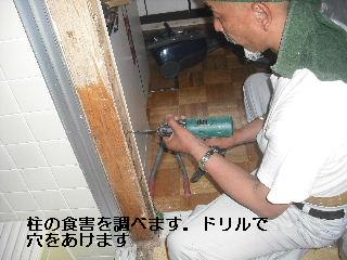 床下点検口設置・他_f0031037_21234449.jpg