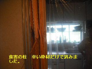 床下点検口設置・他_f0031037_2123838.jpg