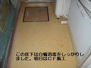 床下点検口設置・他_f0031037_21261912.jpg