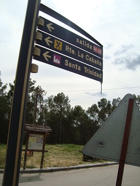 e0120938_3303657.jpg