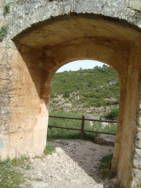 e0120938_3353552.jpg