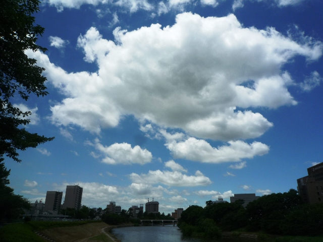 梅雨の晴れ間_b0041442_332327.jpg