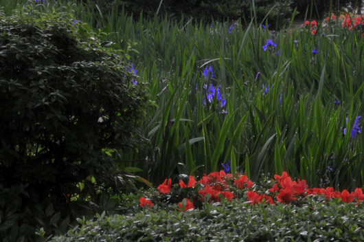 c0093046_14443757.gif