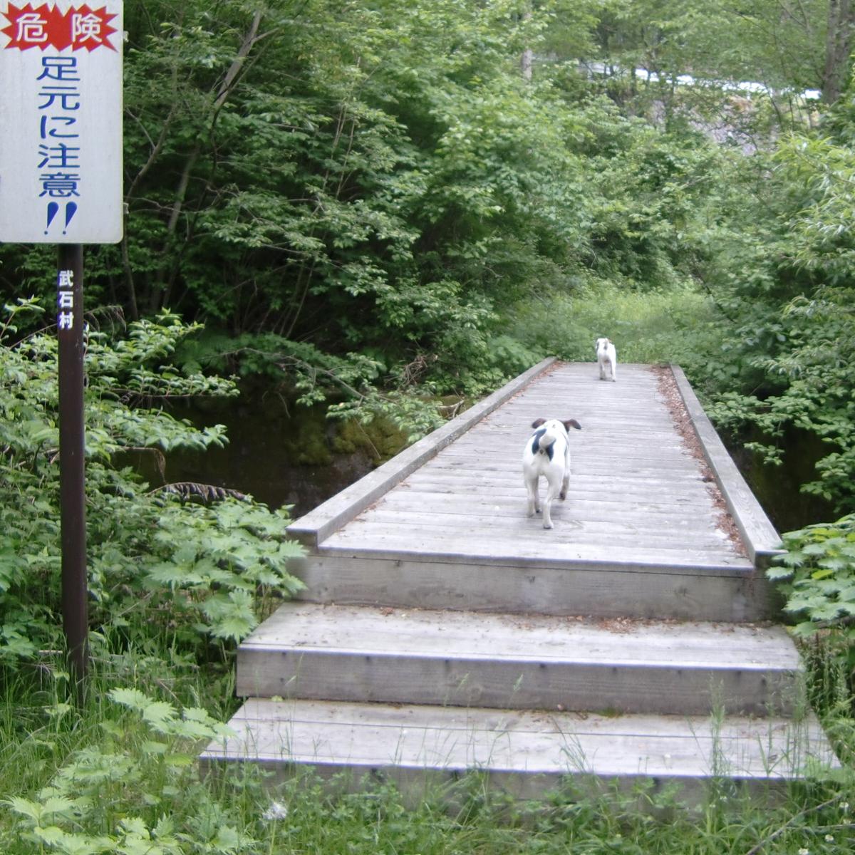 c0140260_23463874.jpg