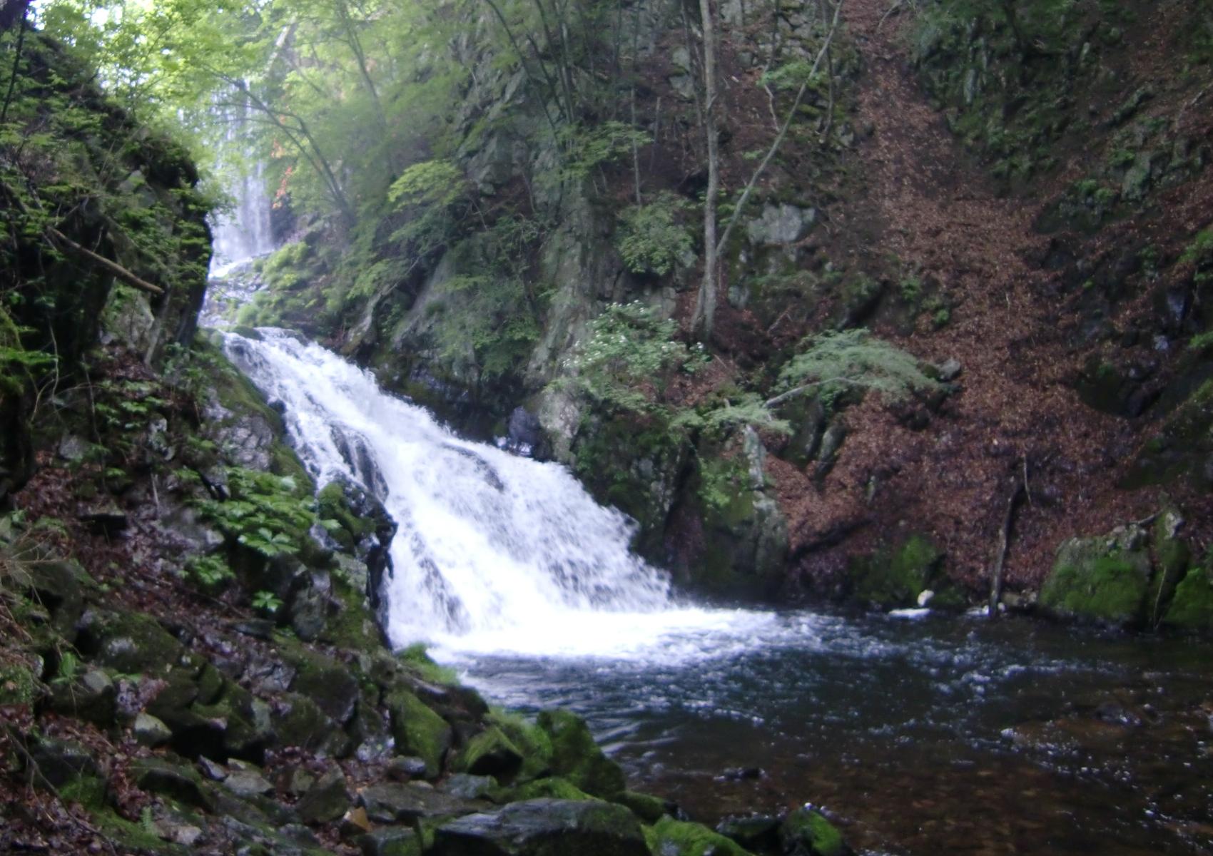 c0140260_2346885.jpg