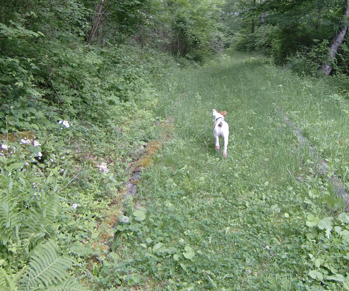 c0140260_23472568.jpg