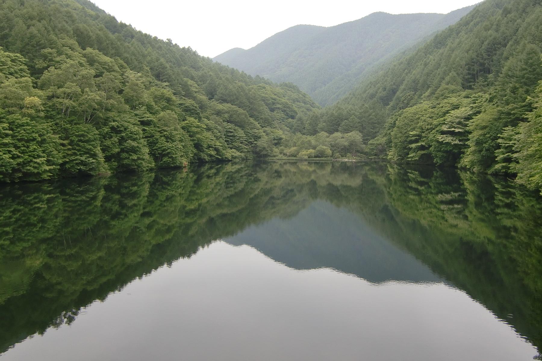 c0140260_2347407.jpg