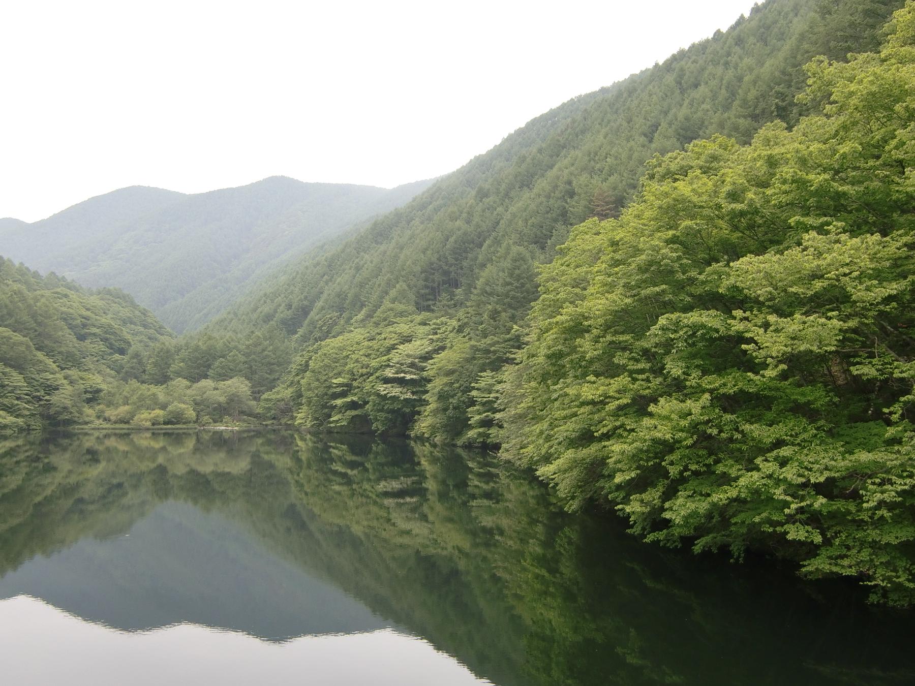 c0140260_23475236.jpg