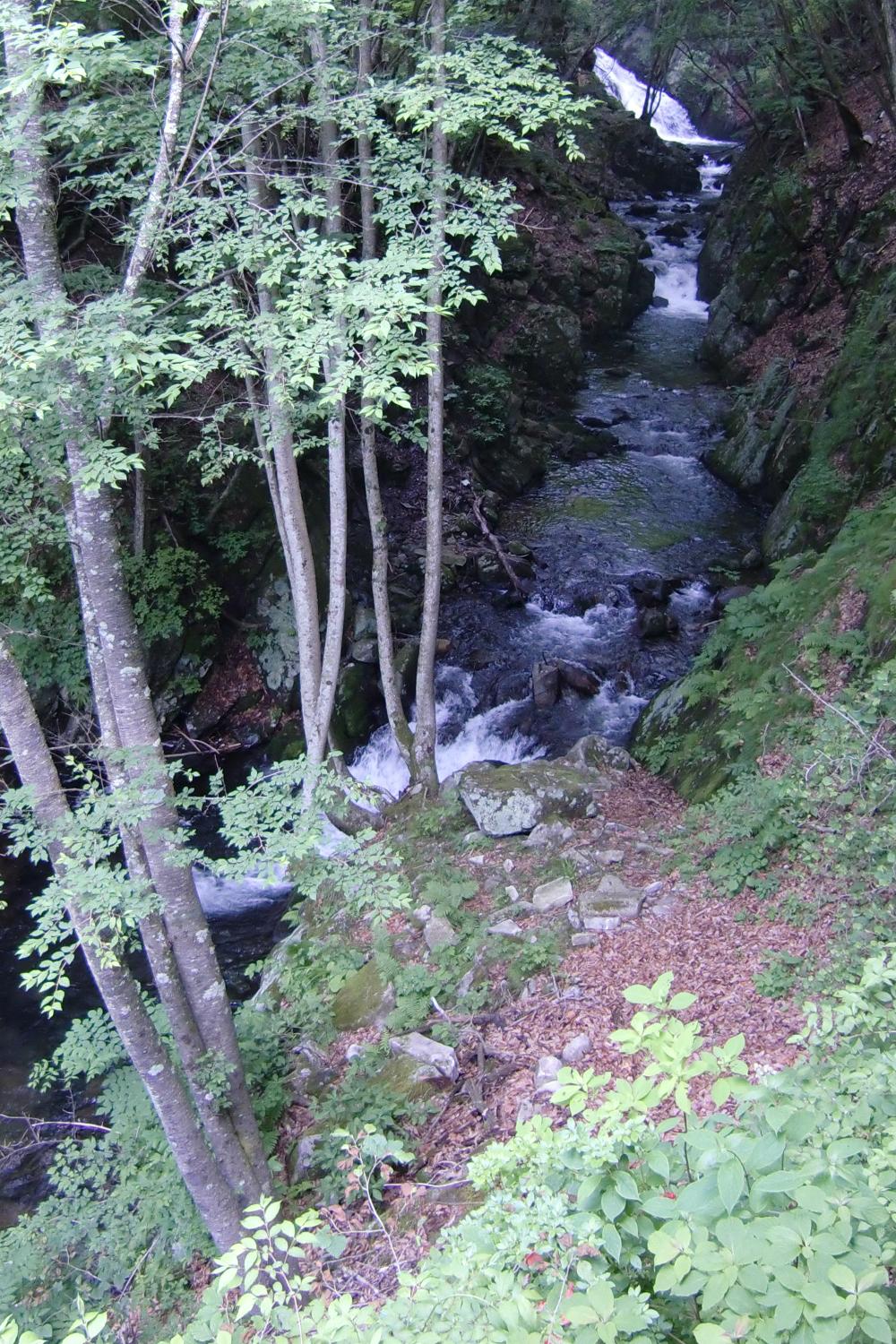 c0140260_2347788.jpg