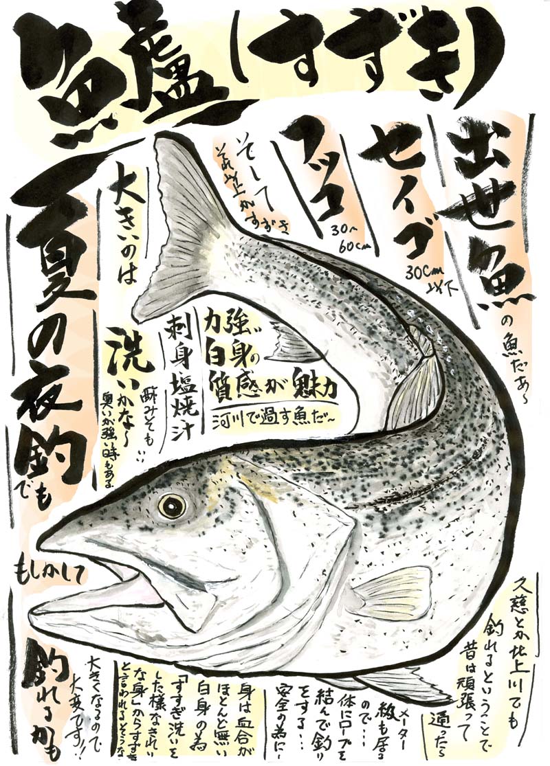 鱸 すずき 岩手 旬の味覚 歳時記 鱸 すずき 岩手 旬の味覚 歳時記