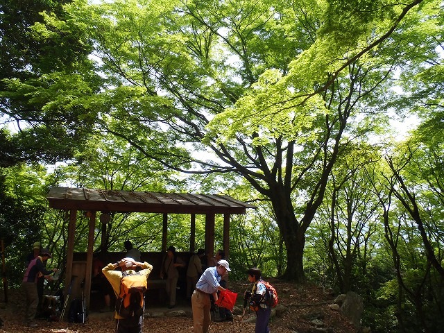 今年も秘密の花園へ_b0044663_1237415.jpg