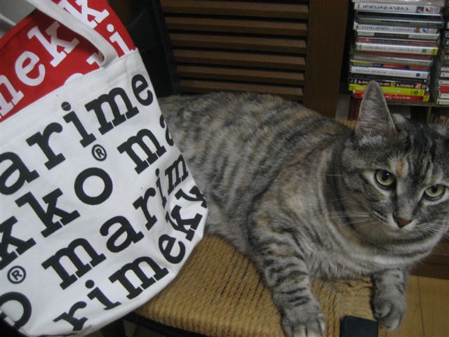 a0123465_0241816.jpg
