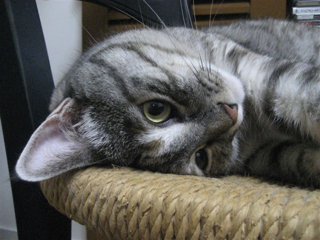 a0123465_23572282.jpg