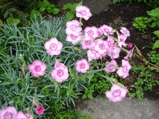 f0232768_2394323.jpg