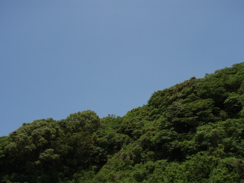 梅雨ばい_a0077071_17224022.jpg