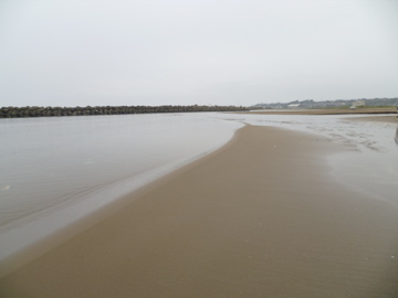 e0113675_99357.jpg