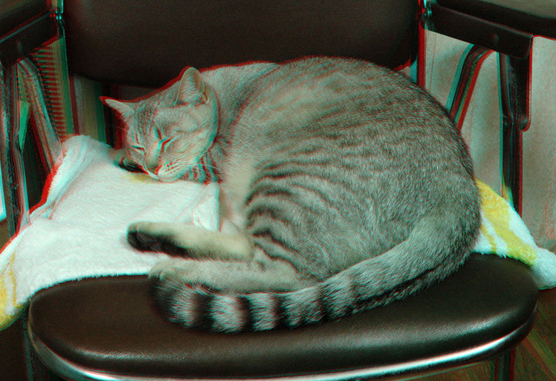 b0057679_91892.jpg